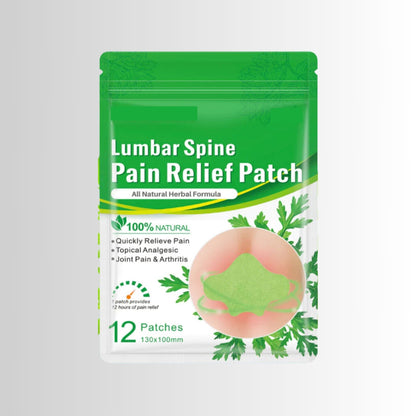 Sciatica Back Pain Relief Patches (24pcs)